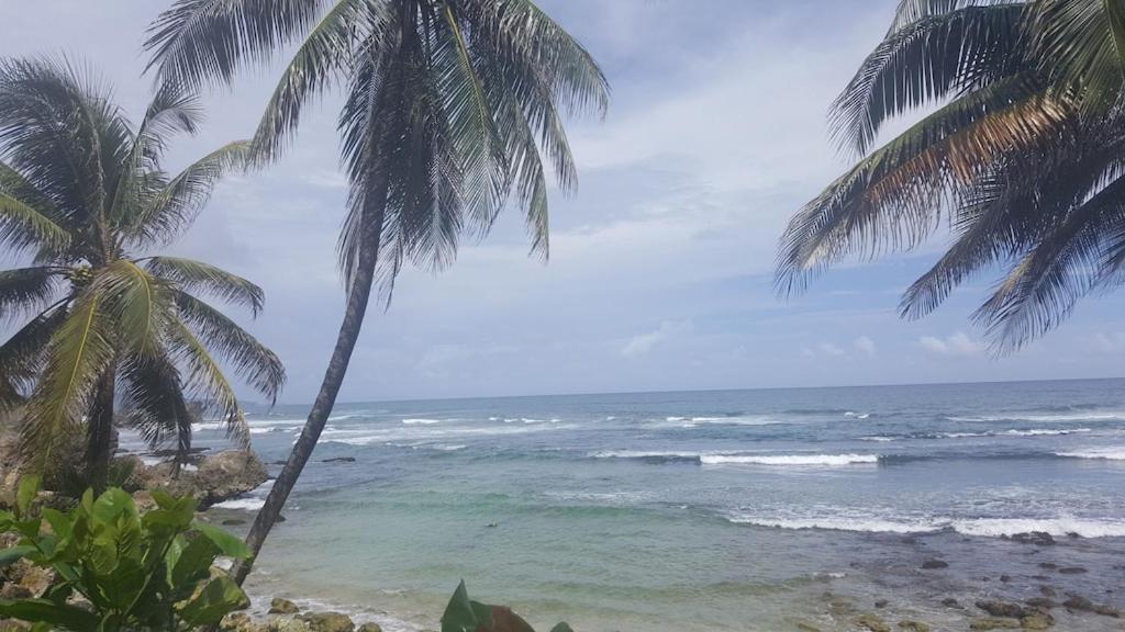 Donamae 2 Story Barbados House Villa Bridgetown Luaran gambar