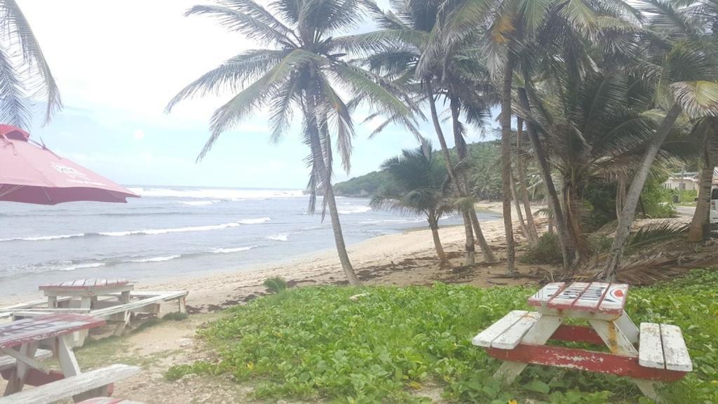 Donamae 2 Story Barbados House Villa Bridgetown Luaran gambar